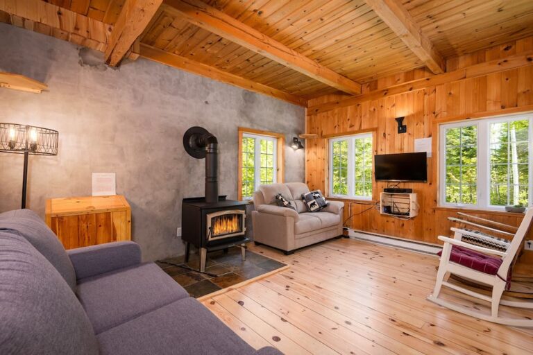 Salon avec foyer au bois