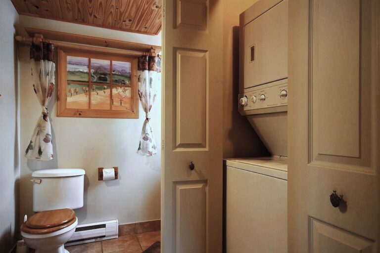 Shower room, washer/dryer area