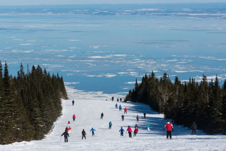 Activities nearby (Le Massif)