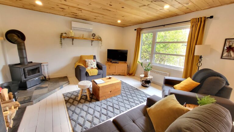 Salon avec foyer au bois