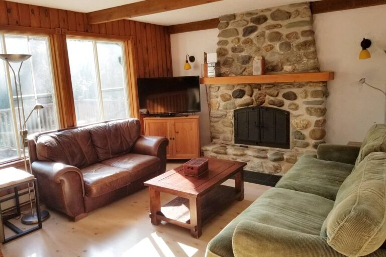 Salon 1 avec foyer au bois