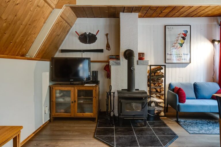 Salon avec foyer au bois