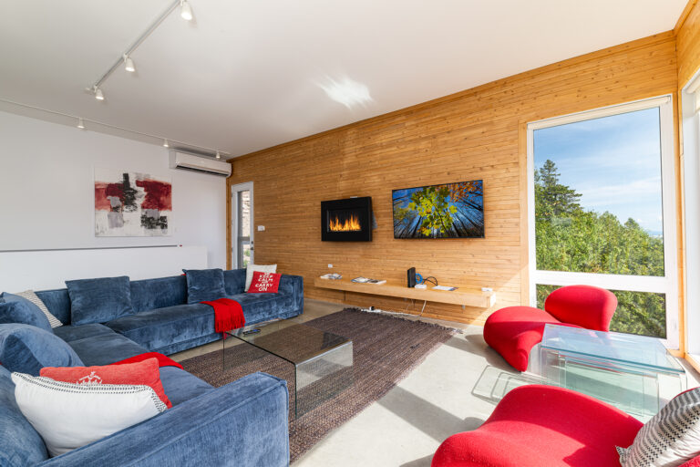 Living room 3. Fireplace is out of service