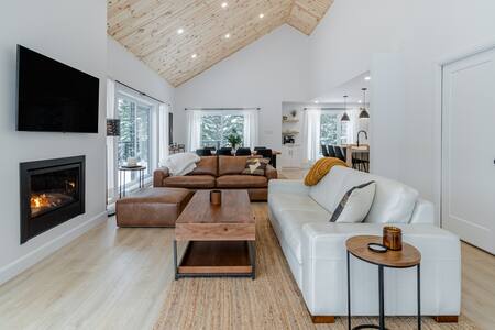 Living room with gas fireplace