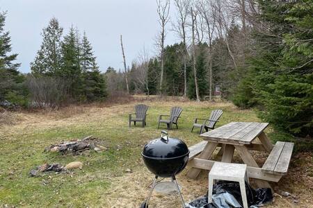Firepit, charcoal BBQ and picnic table
