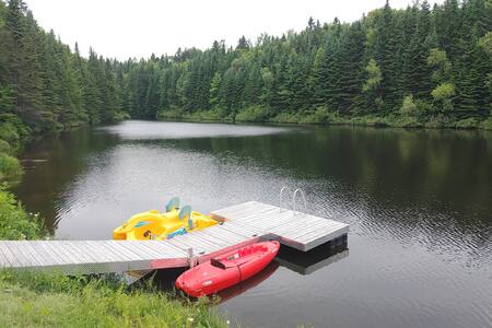 Kayak and pedal boat, with life jackets availble