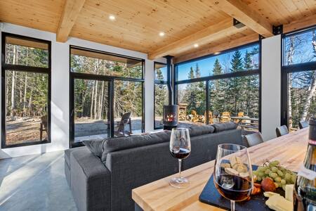 Salon avec foyer au gaz