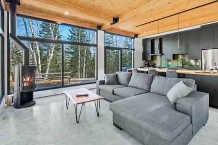Living room with gas fireplace