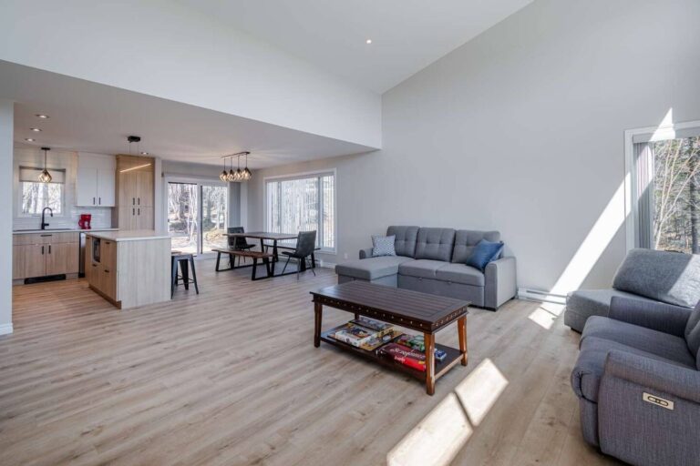 Living room (with sofa-bed and gas fireplace)