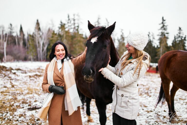 Activités à proximité chevaux 
