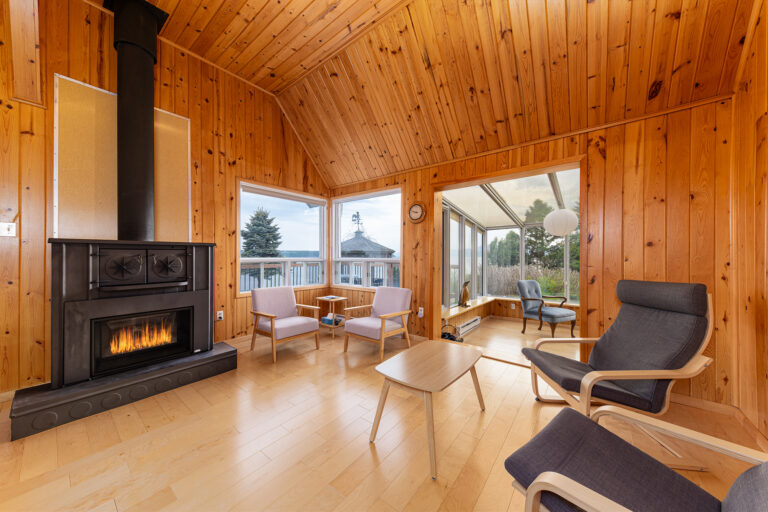 Living room and gas fireplace