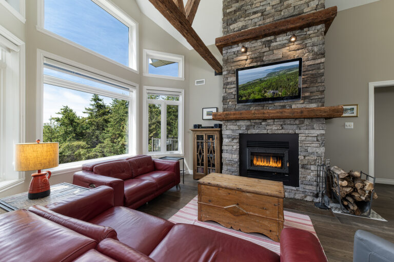 Living room and fireplace