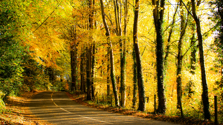 L’automne au chalet ? On vote pour.